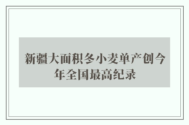 新疆大面积冬小麦单产创今年全国最高纪录