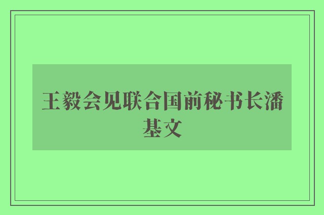 王毅会见联合国前秘书长潘基文