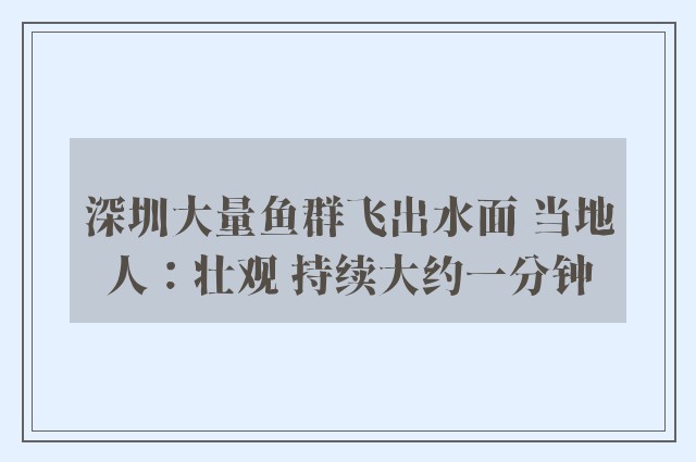 深圳大量鱼群飞出水面 当地人：壮观 持续大约一分钟