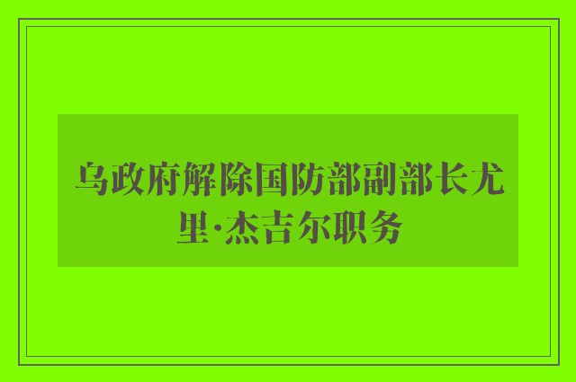 乌政府解除国防部副部长尤里·杰吉尔职务