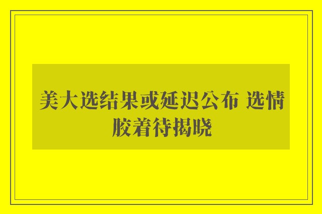 美大选结果或延迟公布 选情胶着待揭晓