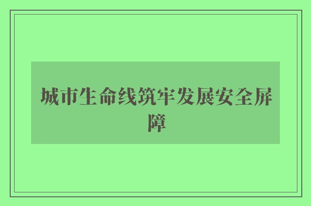 城市生命线筑牢发展安全屏障