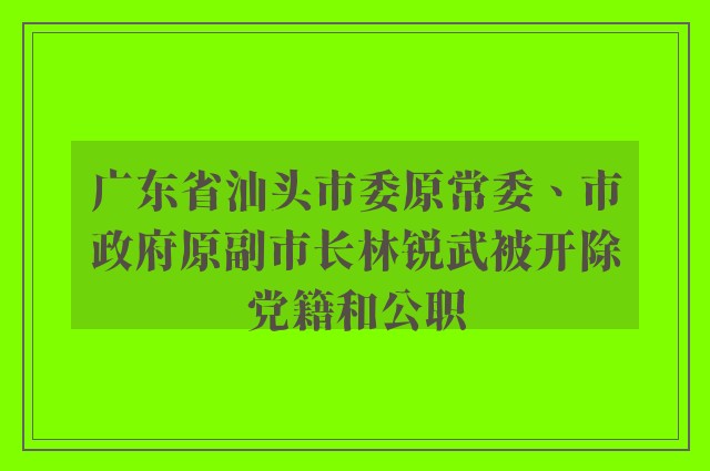 广东省汕头市委原常委、市政府原副市长林锐武被开除党籍和公职